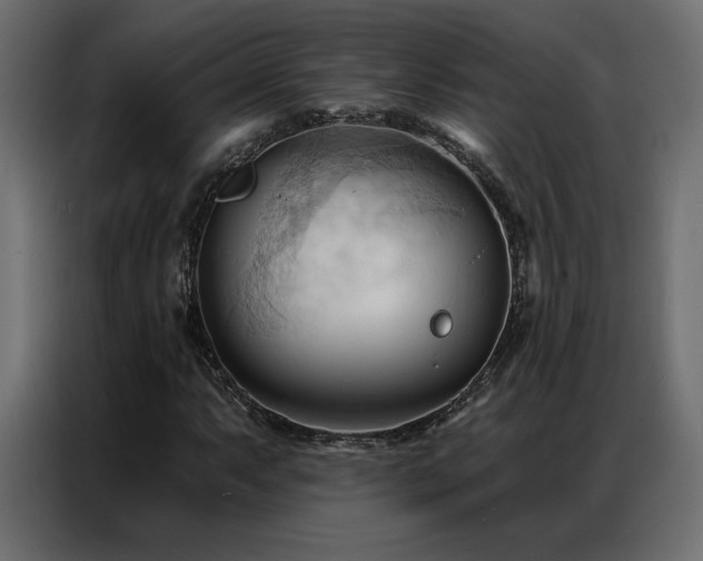 X0000086901063200704161310