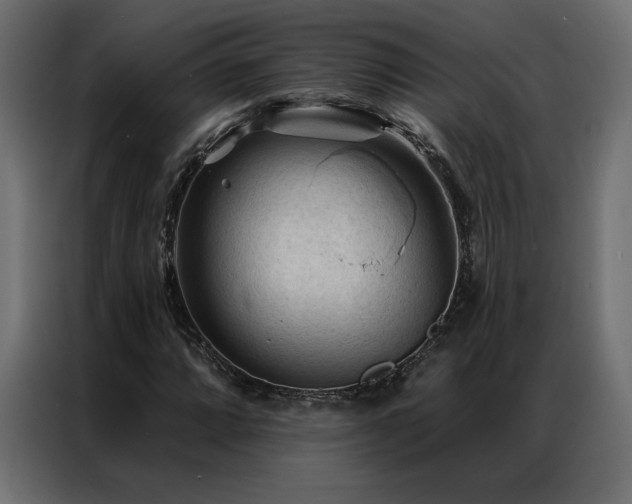 X0000086901064200704161309