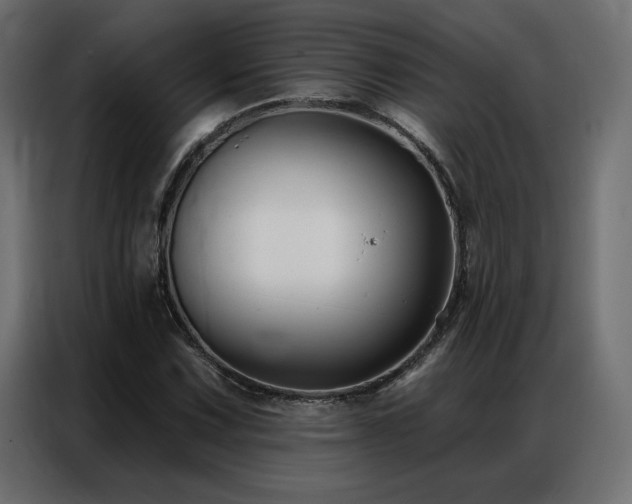 X0000086901067200704161309