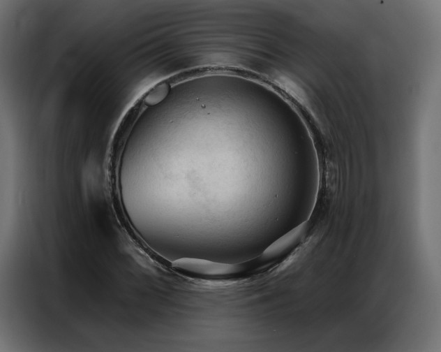 X0000086901068200704161309