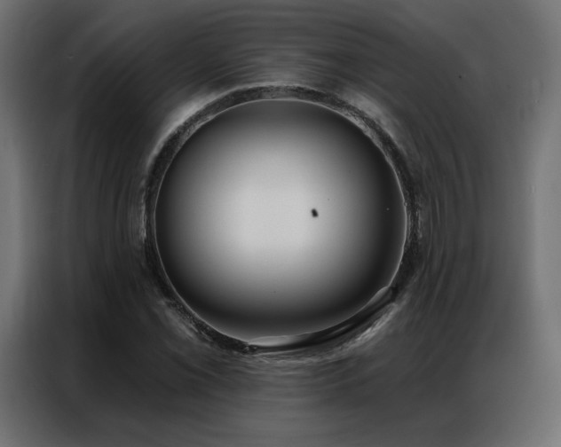 X0000086901069200704161309