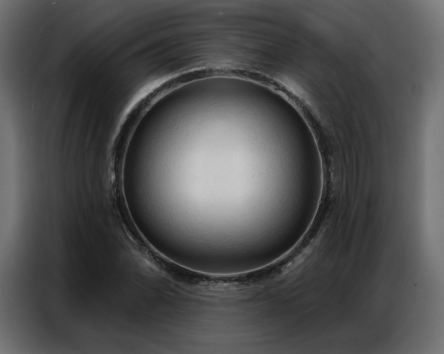 X0000086901070200704161309