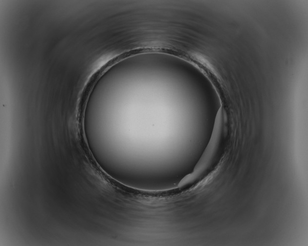 X0000086901071200704161309