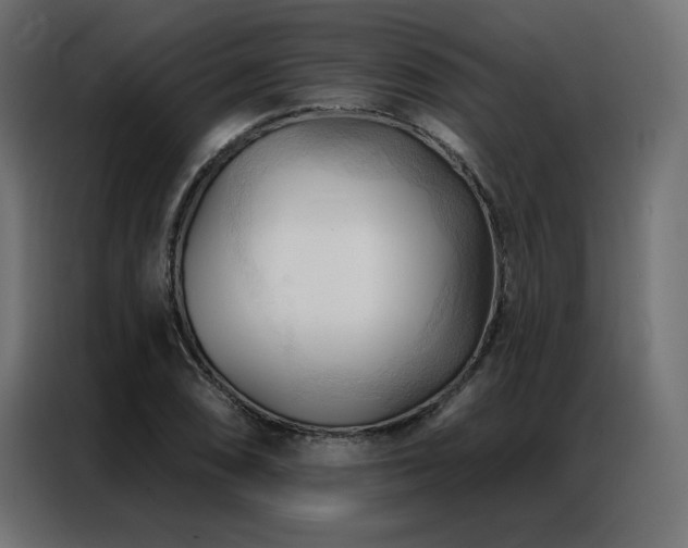 X0000086901074200704161309