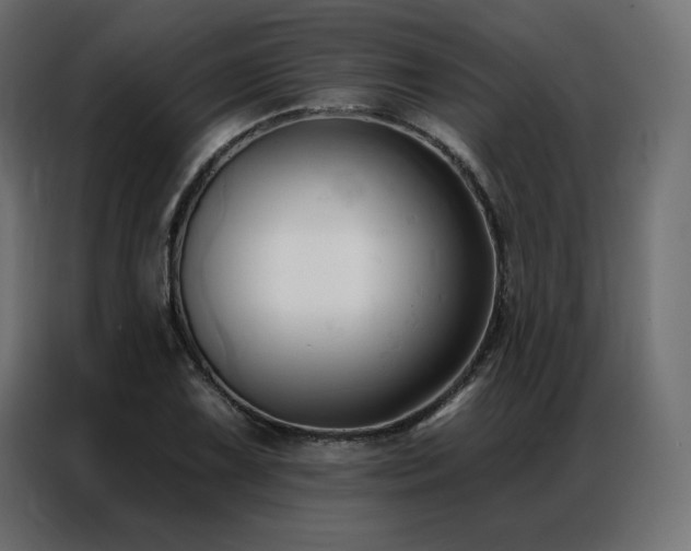 X0000086901075200704161309