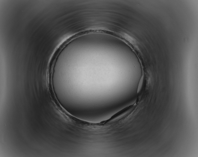 X0000086901076200704161309
