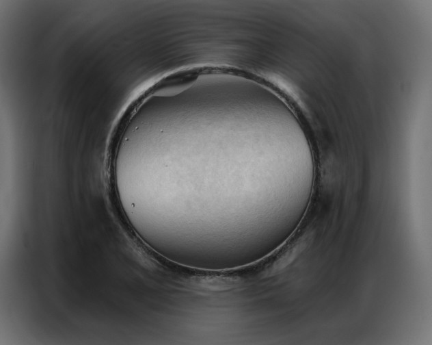 X0000086901077200704161309