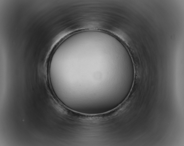X0000086901078200704161309