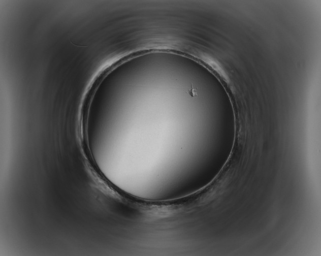 X0000086901080200704161309