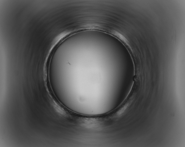X0000086901082200704161309