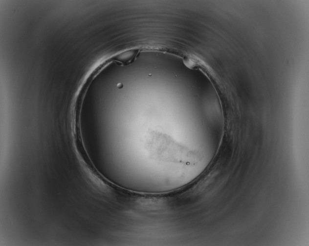 X0000086901083200704161309