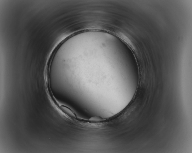 X0000086901084200704161309