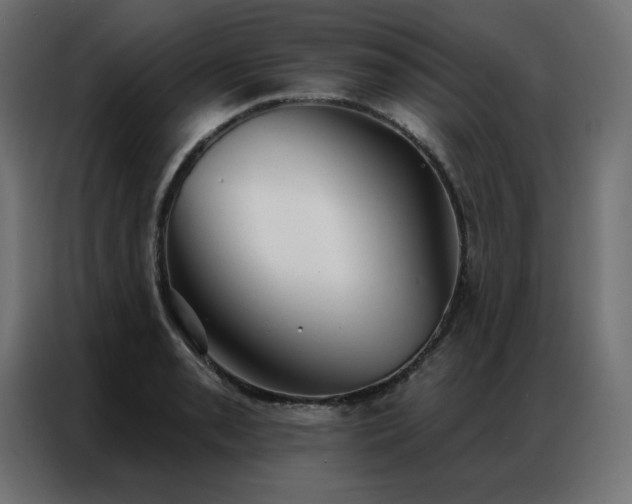 X0000086901085200704161309