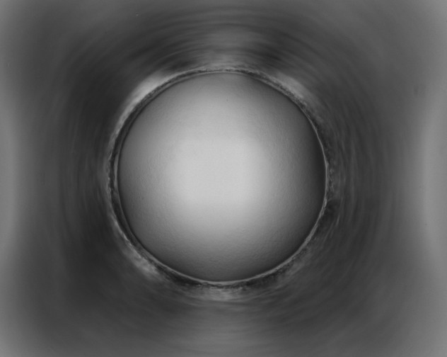 X0000086901086200704161309
