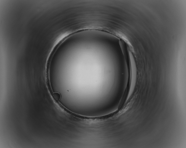 X0000086901087200704161309