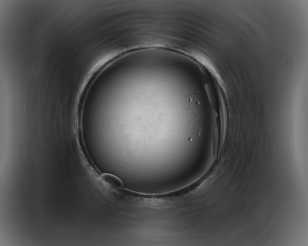 X0000086901088200704161309