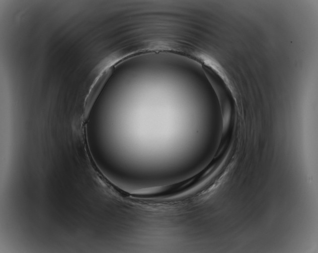 X0000086901089200704161309