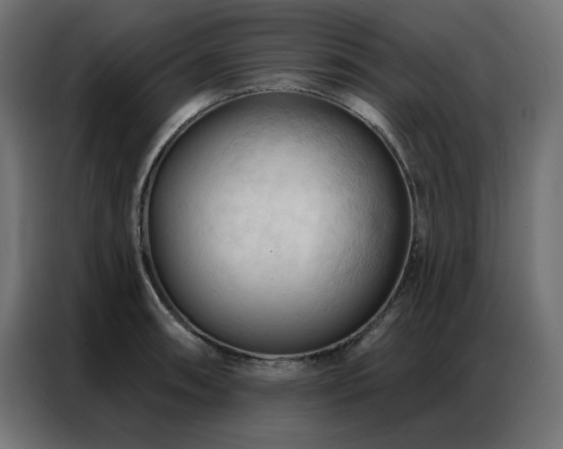 X0000086901090200704161309