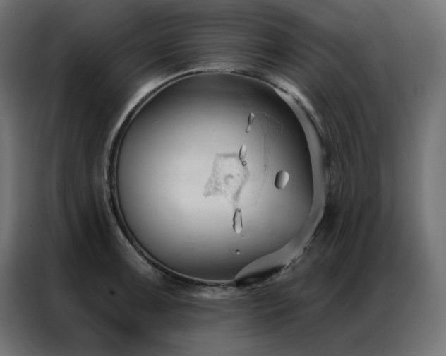 X0000086901091200704161309