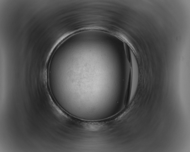 X0000086901092200704161309