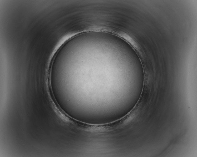 X0000086901094200704161309