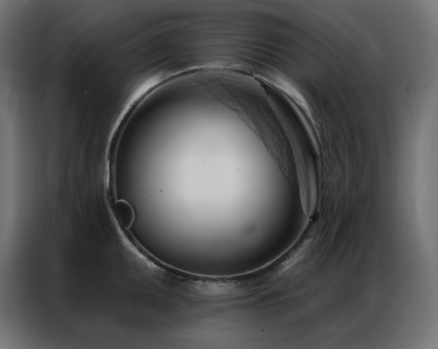 X0000086901095200704161309