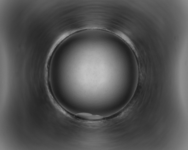 X0000086901096200704161309
