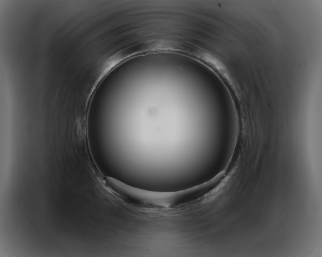 X0000086901097200704161309