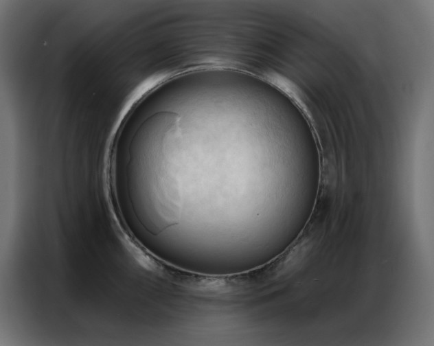 X0000086901098200704161309