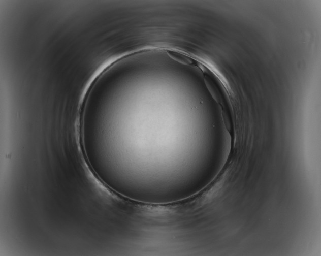 X0000086901100200704161309