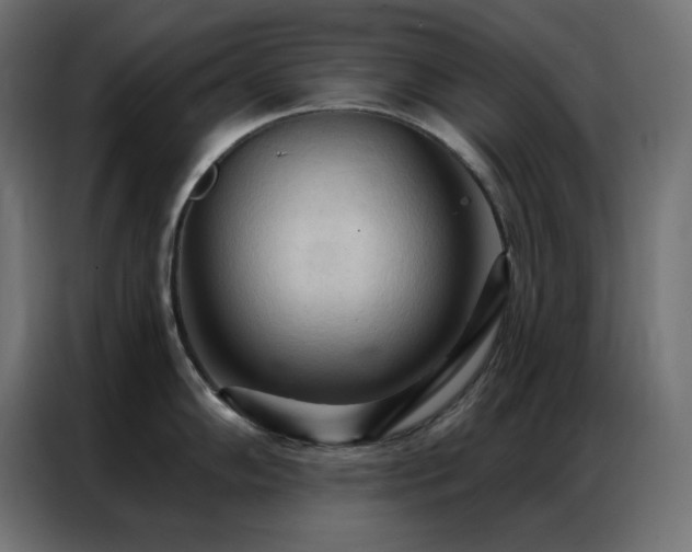 X0000086901102200704161309