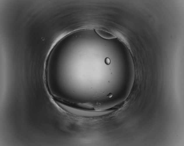 X0000086901103200704161309