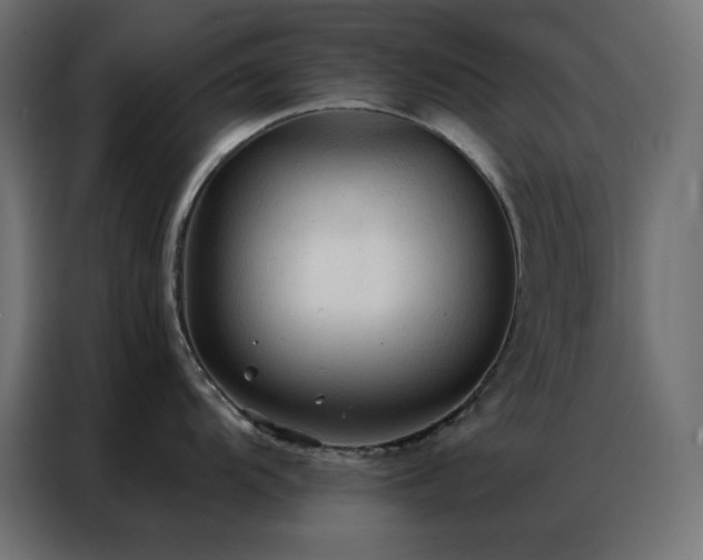 X0000086901104200704161309