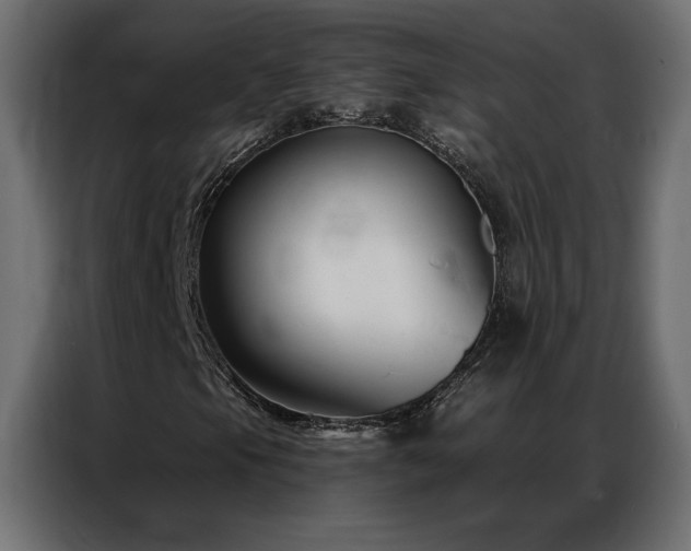X0000086901105200704161308