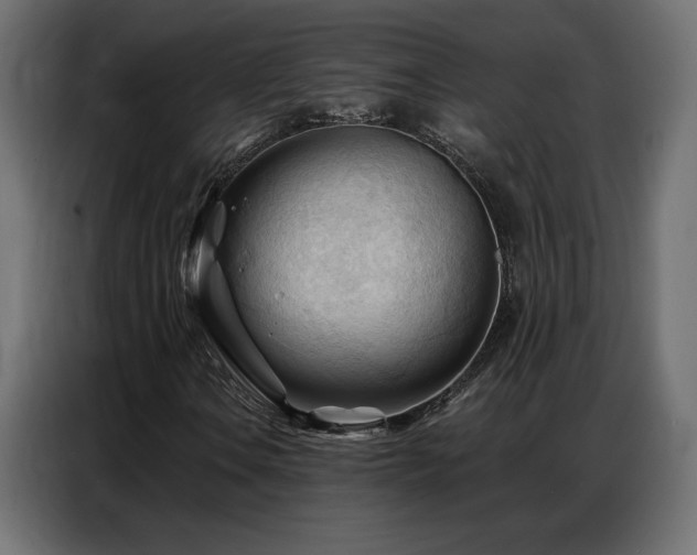 X0000086901106200704161308