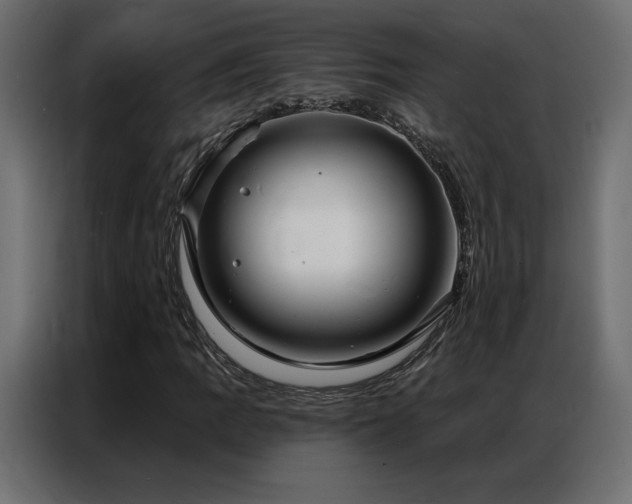 X0000086901109200704161308