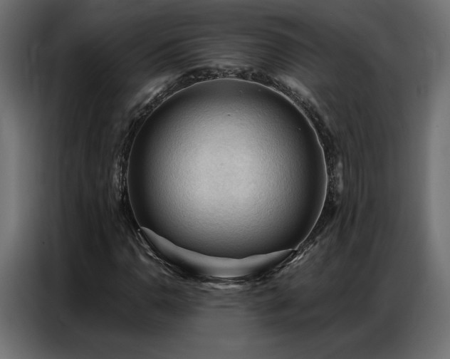 X0000086901110200704161308