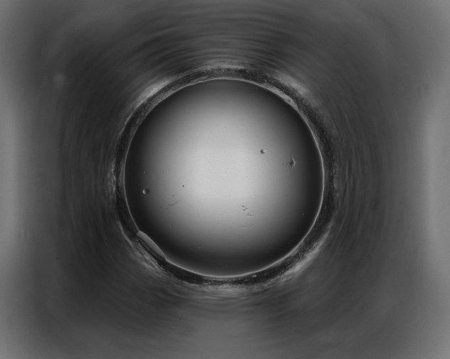 X0000086901113200704161308