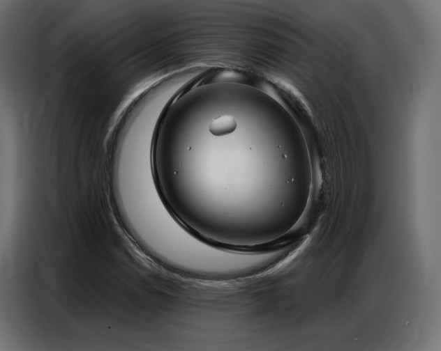 X0000086901114200704161308