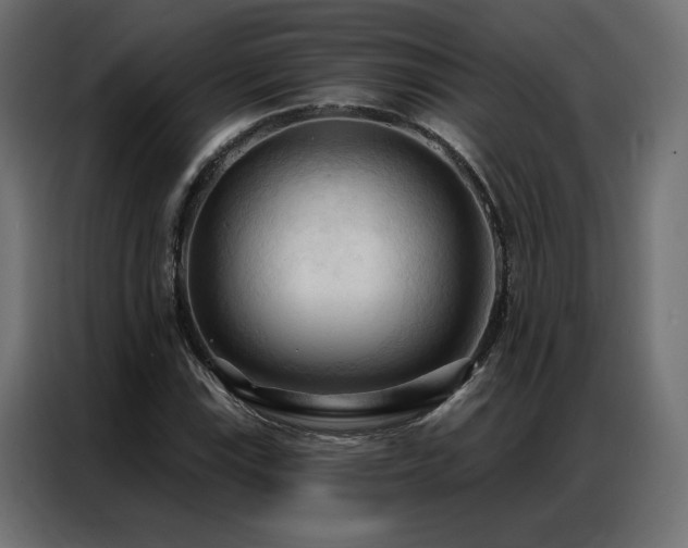 X0000086901115200704161308
