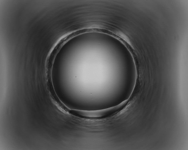 X0000086901116200704161308