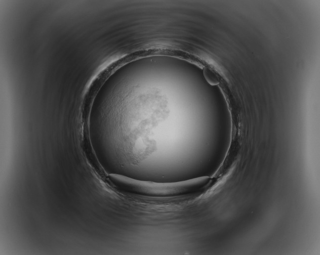 X0000086901117200704161308