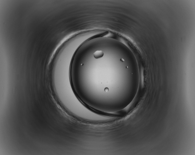 X0000086901118200704161308