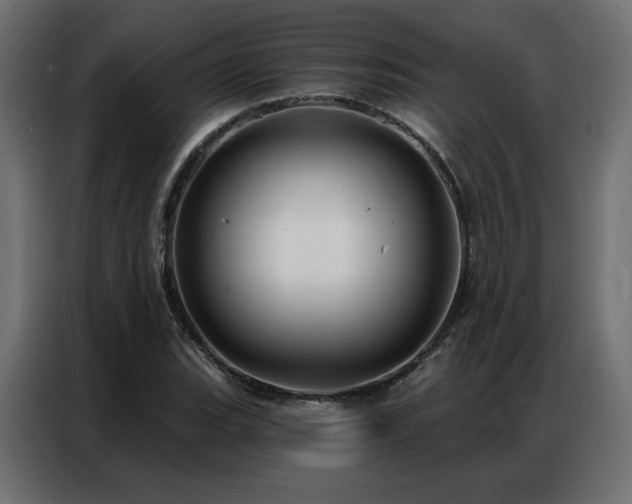 X0000086901119200704161308