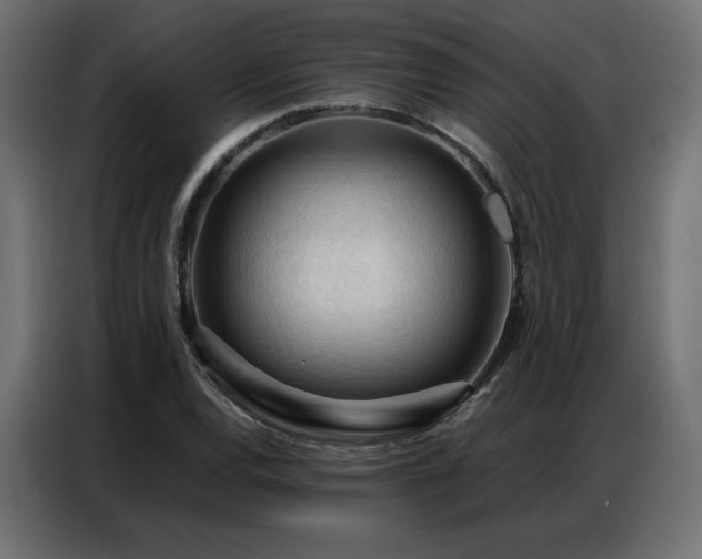 X0000086901120200704161308