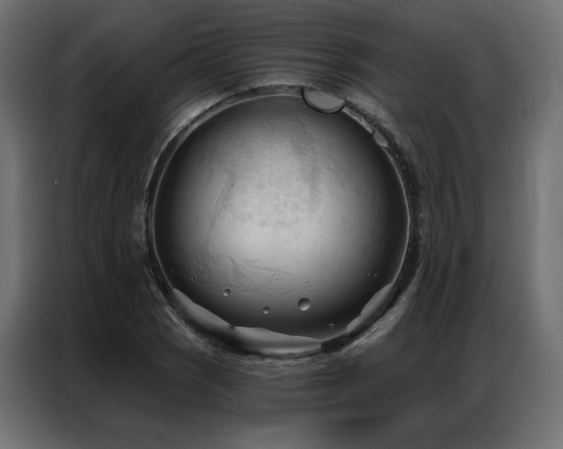 X0000086901121200704161308