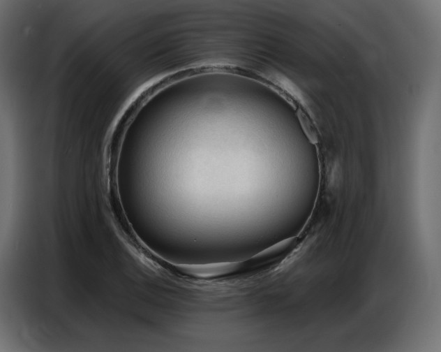 X0000086901124200704161308