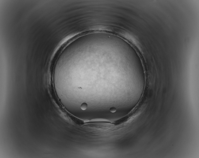 X0000086901125200704161308