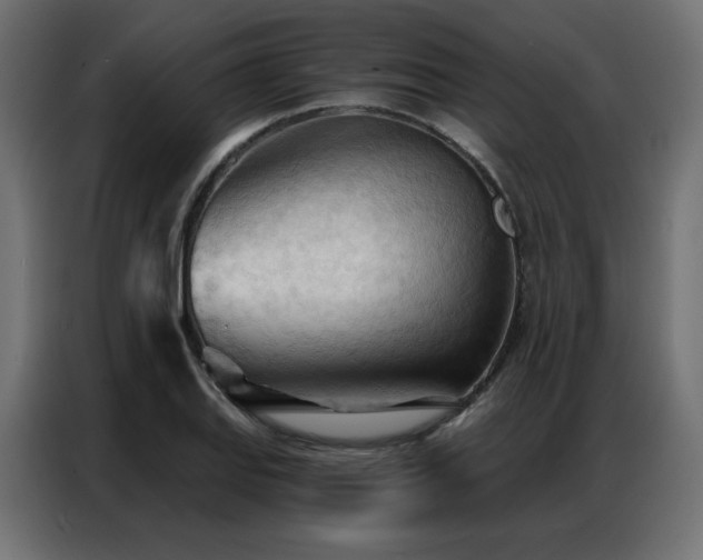 X0000086901127200704161308