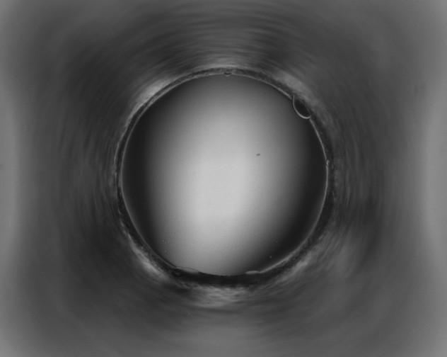X0000086901129200704161308